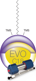 EVO C18 Reversed Phase Column